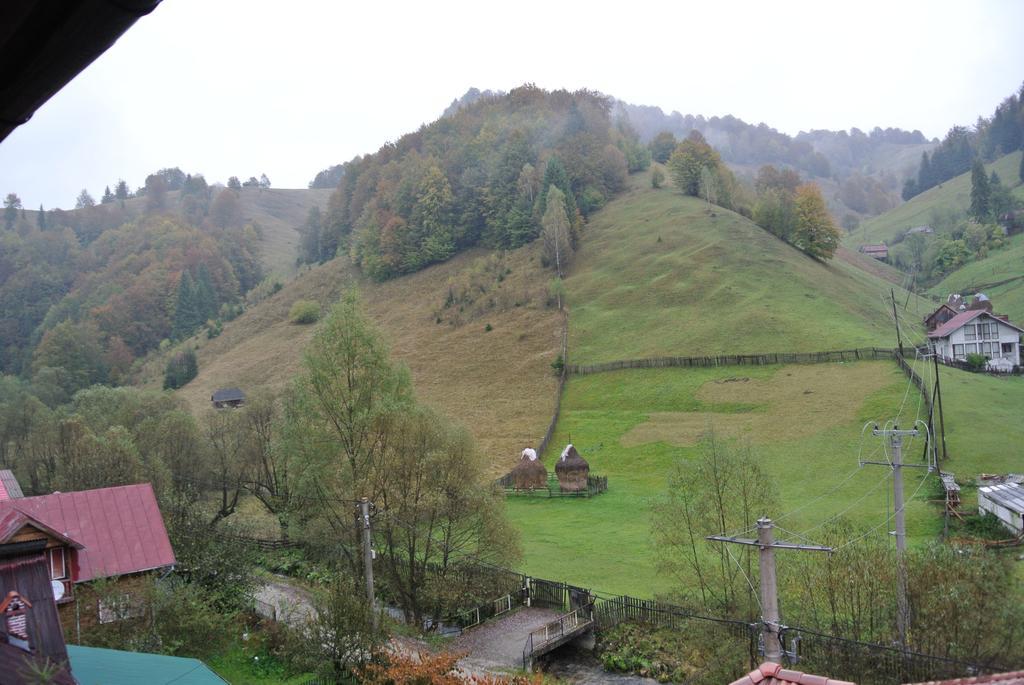 Pensiune Restaurant Piatra Craiului Dîmbovicioara エクステリア 写真