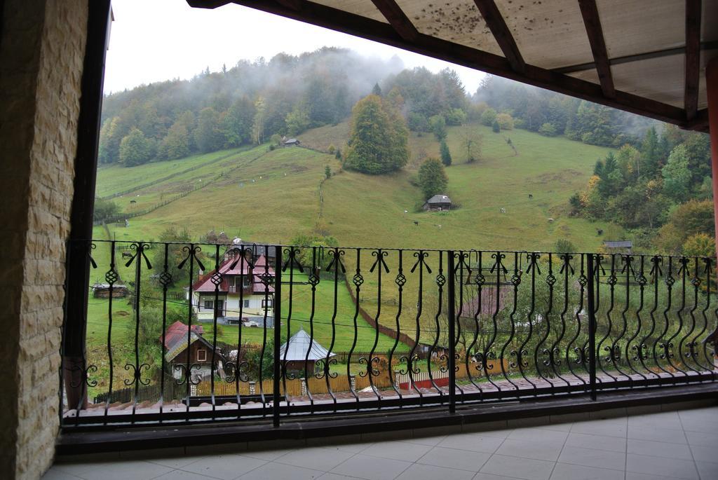Pensiune Restaurant Piatra Craiului Dîmbovicioara エクステリア 写真