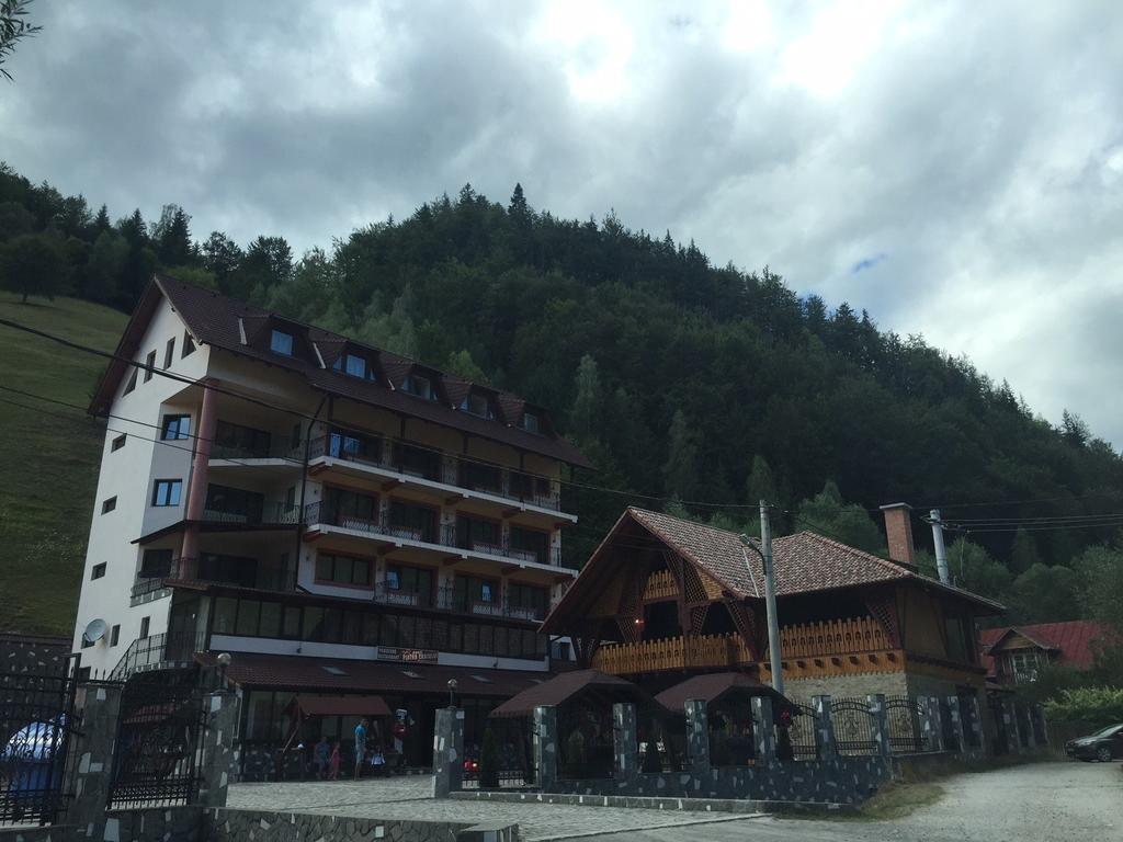 Pensiune Restaurant Piatra Craiului Dîmbovicioara エクステリア 写真