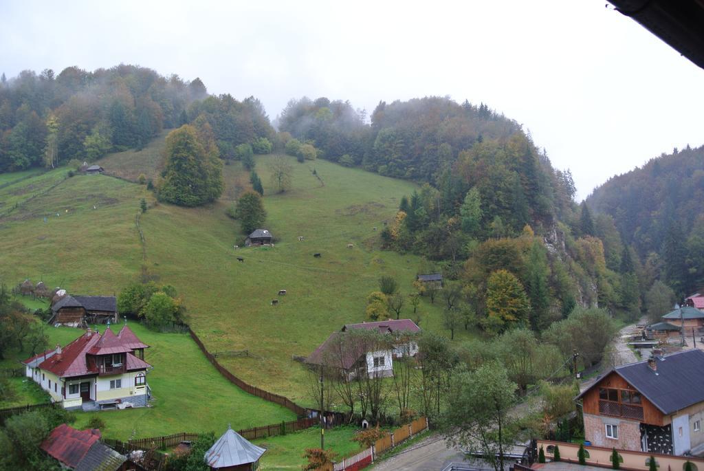 Pensiune Restaurant Piatra Craiului Dîmbovicioara エクステリア 写真